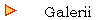       Galerii